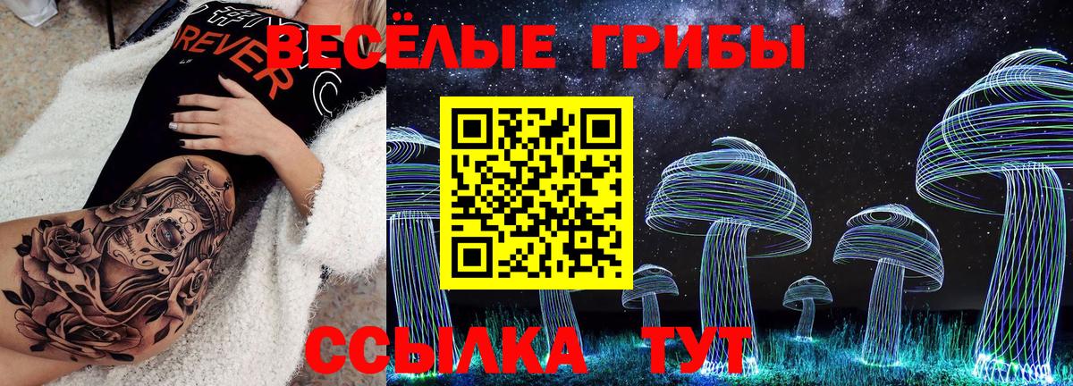 Галлюциногенные грибы мухоморы Ефремов