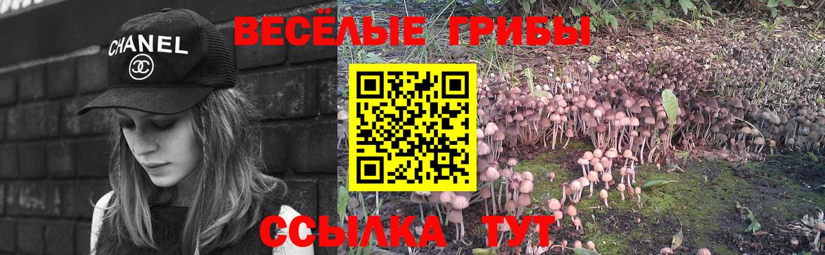 Псилоцибиновые грибы прущие грибы  Псилоцибиновые грибы MAGIC MUSHROOMS  Вход с VPN  Ефремов 