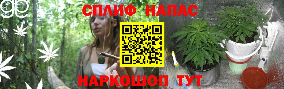 Марихуана Bruce Banner Ефремов
